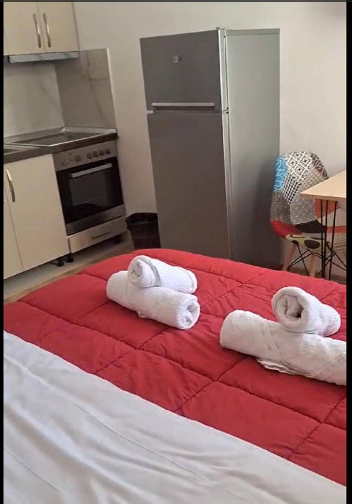 Albania Cozy & Affordable Near Center 公寓 Tirana